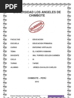 Informe de Entorno Virtuales_carlos Urbiza