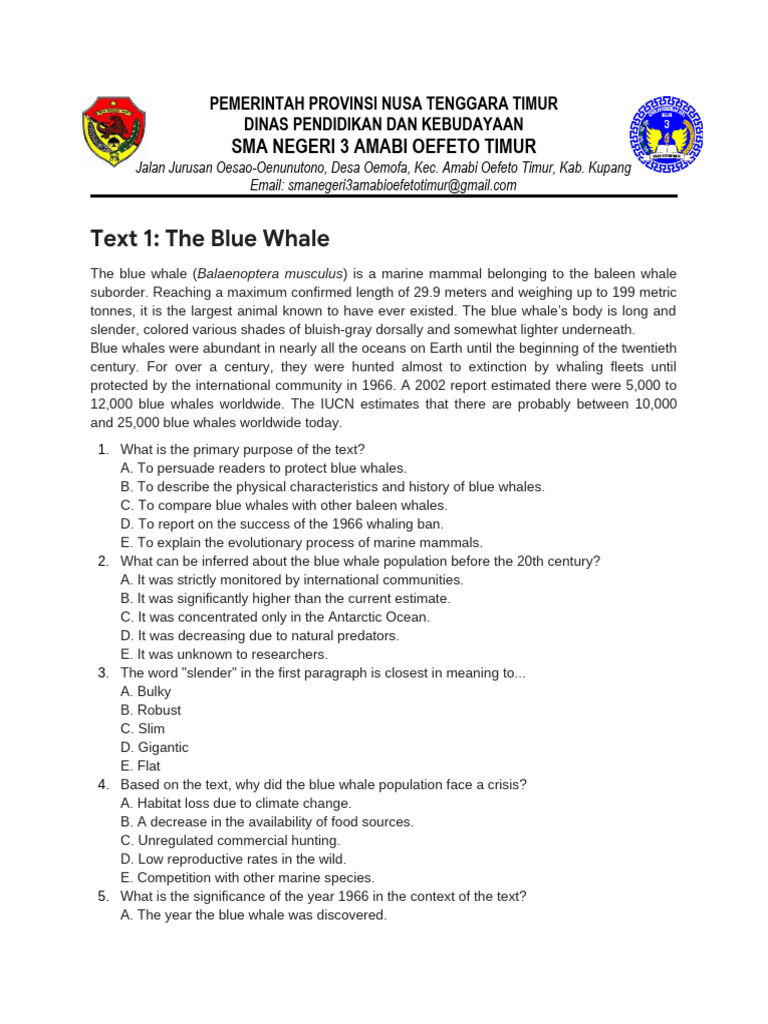 Report Text HOTS Questions | PDF | Planets | Solar System