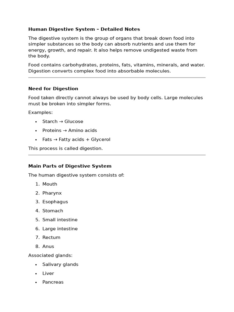 Human Digestive System | PDF | Digestion | Human Digestive System
