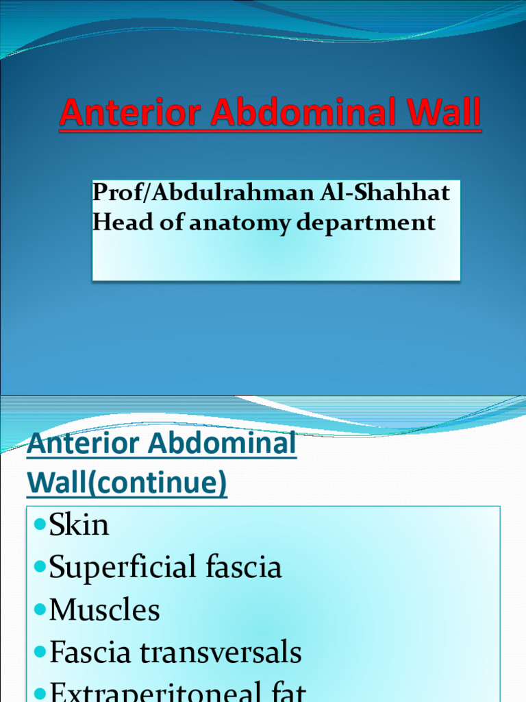 Anterior Abdominal Wall | PDF | Abdomen | Human Anatomy