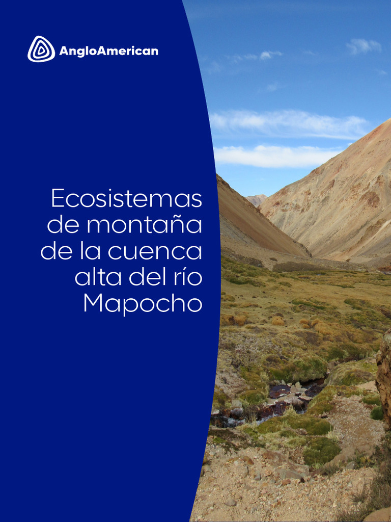 Ecosistemas de Montana de La Cuenca Alta Del Rio Mapocho | PDF ...