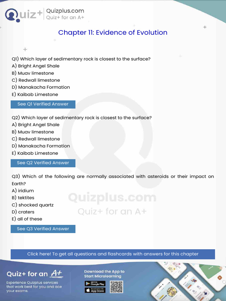 Which Layer of Sedimentary Rock is Closest to the Surface | PDF ...