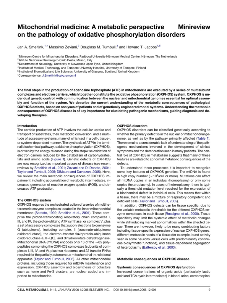 Mitochondrial Medicine a Metabolic Perspective | PDF | Mitochondrion ...