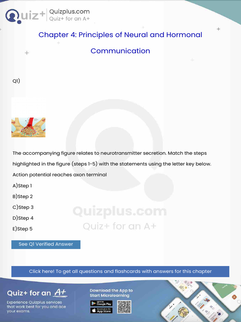 Action Potential Reaches Axon Terminal | PDF | Kidney | Heart Valve