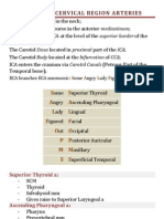 Arteries Anterior Cervical Region