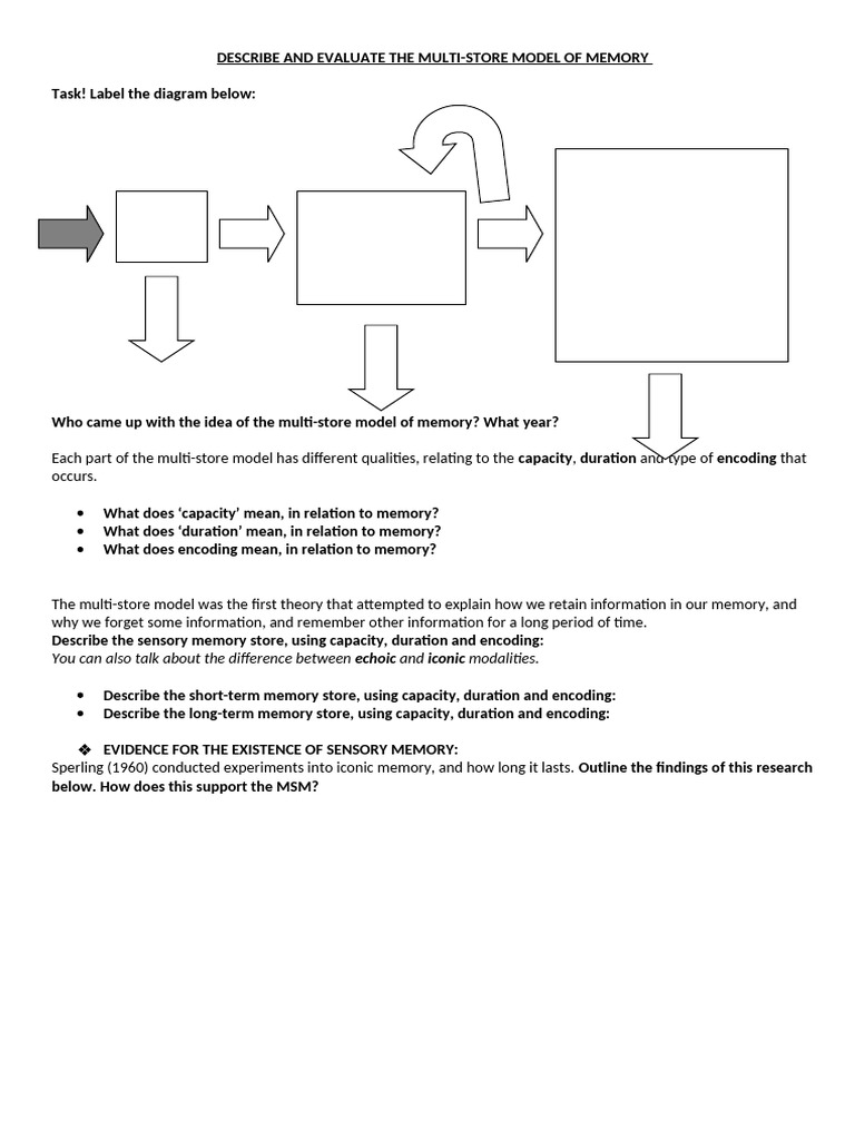 Multi-Store Model - Worksheet | PDF | Memory | Long Term Memory