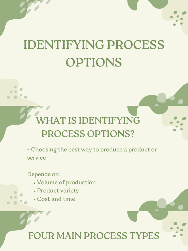 Identifying Process Options | PDF