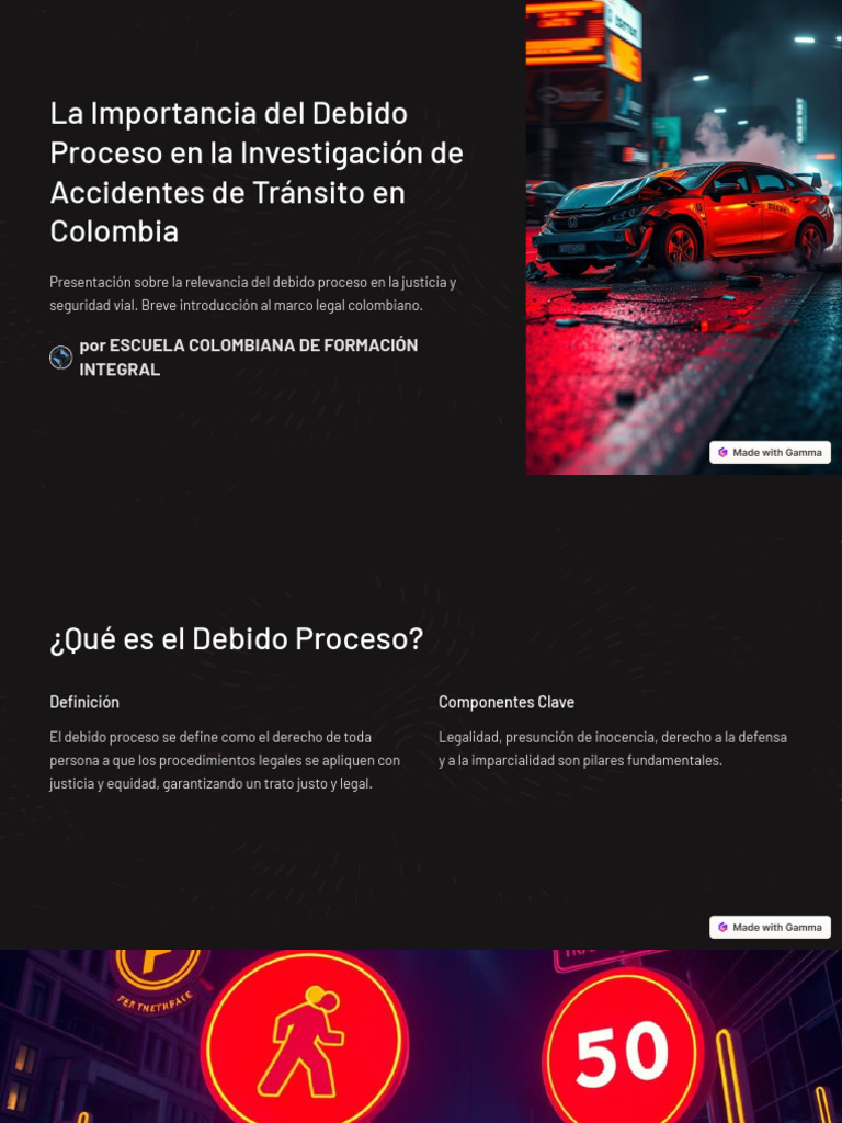 Importancia Del Debido Proceso en La Investigación de Accidentes de ...