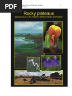 Download Rocky Plateaus Aparna Watve by Aparna Watve SN103202899 doc pdf