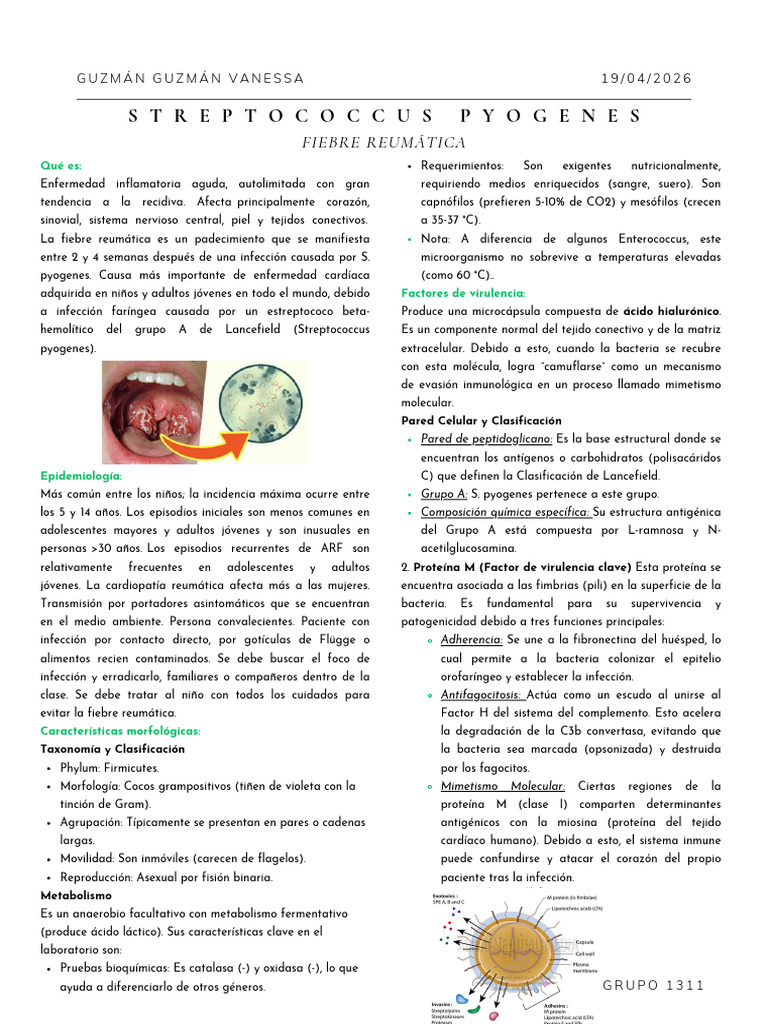Streptococcus Pyogenes | PDF | Estreptococo | Enfermedades y trastornos