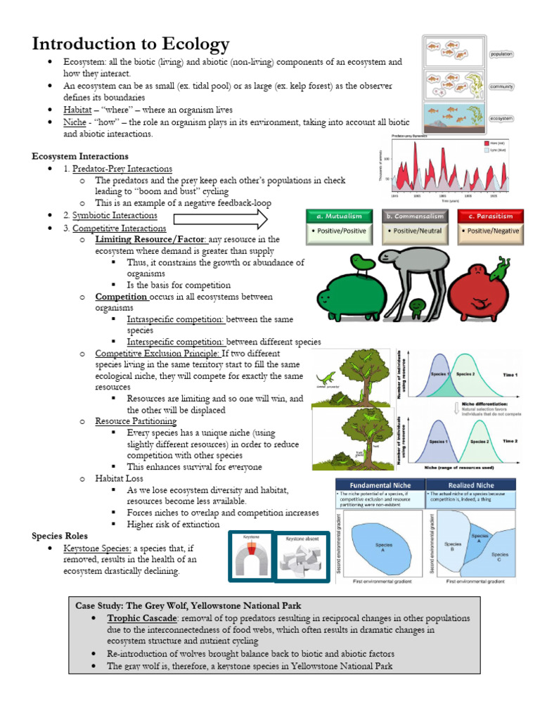 Introduction to Ecosystems Outline | PDF | Ecological Niche | Ecosystem