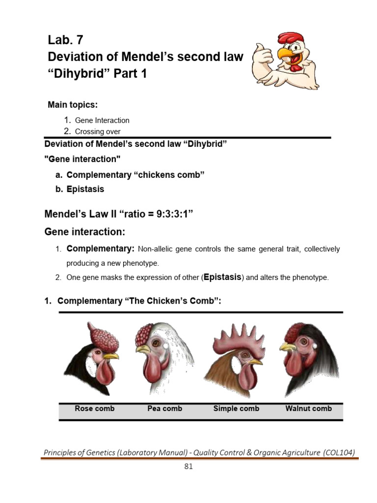 practical Gene Interaction | PDF | Dominance (Genetics) | Epistasis