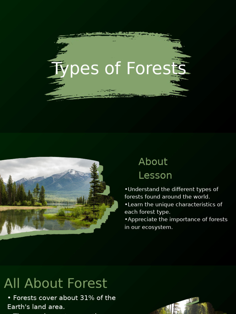 Types of Forests | PDF