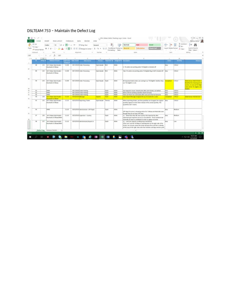 DSLTEAM 753 - Maintain the Defect Log | PDF
