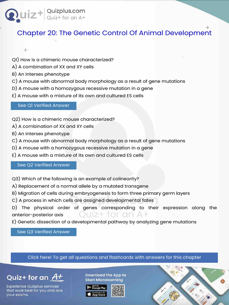 How is a Chimeric Mouse Characterized | PDF | Gene | Genetics