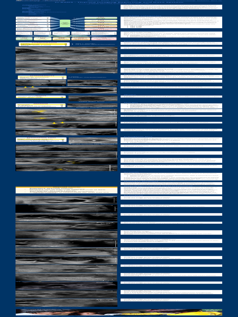 TIRADS - Thyroid Imaging Reporting and Data System | PDF | Medical ...