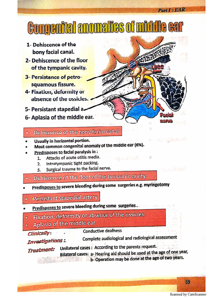 5. Middle Ear Diseases | PDF