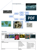 Libreta de Apuntes de Microbiología