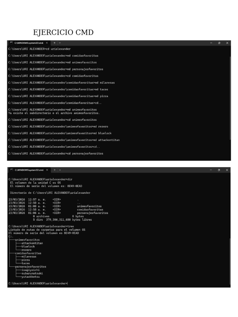 Ejercicio Cmd | PDF