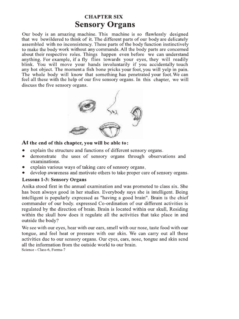 Science Chapter 6 | PDF