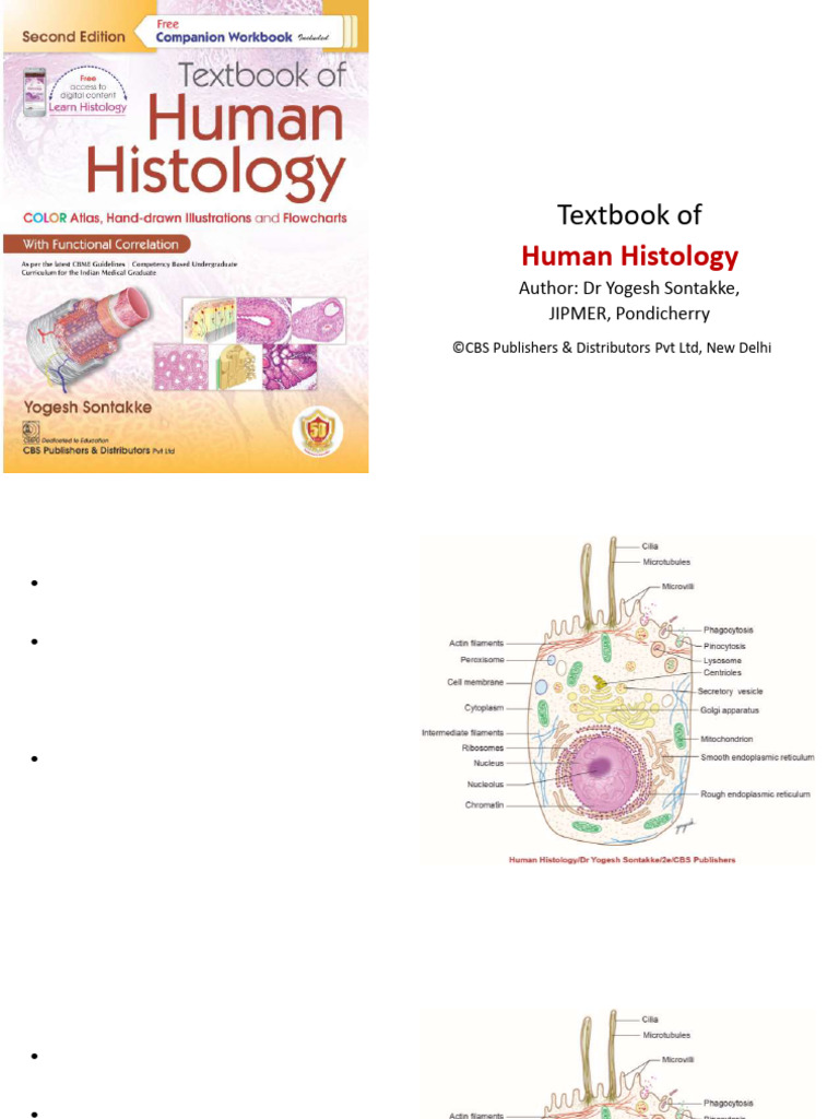 Chapter 03-Cell and Tissue | PDF | Endoplasmic Reticulum | Cell Membrane