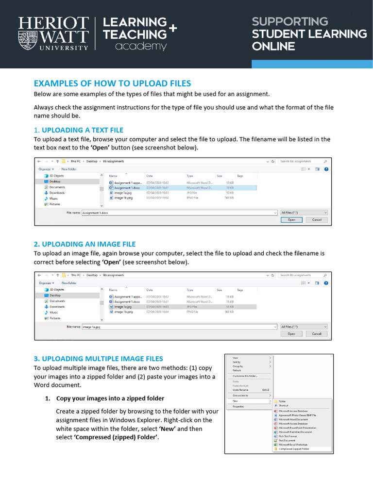 Sample Upload Files | PDF