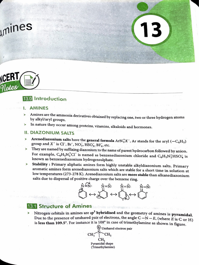 ch13 Amines | PDF | Amine | Hydrogen Compounds