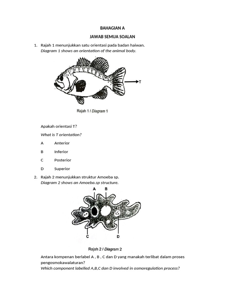 UPT1 BIO FORM 5 | PDF
