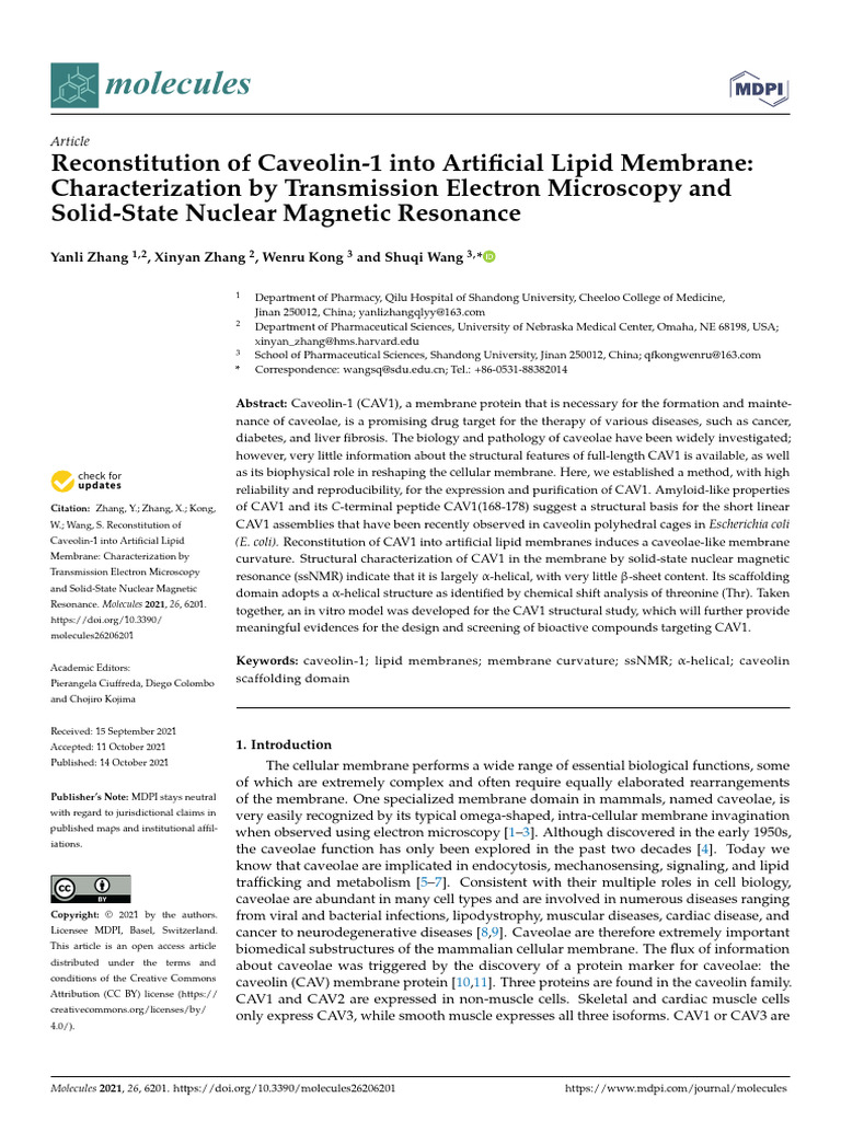 Reconstitution of Caveolin-1 Into Artificial Lipid Membrane | PDF ...