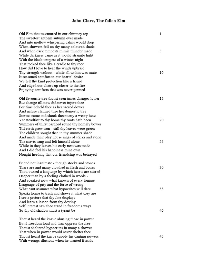 16 Clare, Fallen Elm TEXT | PDF