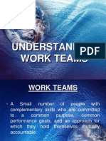 Understanding Work Teams