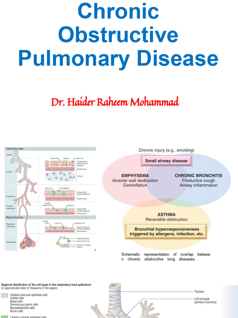 Chronic Obstructive Pulmonary Disease | PDF | Chronic Obstructive ...