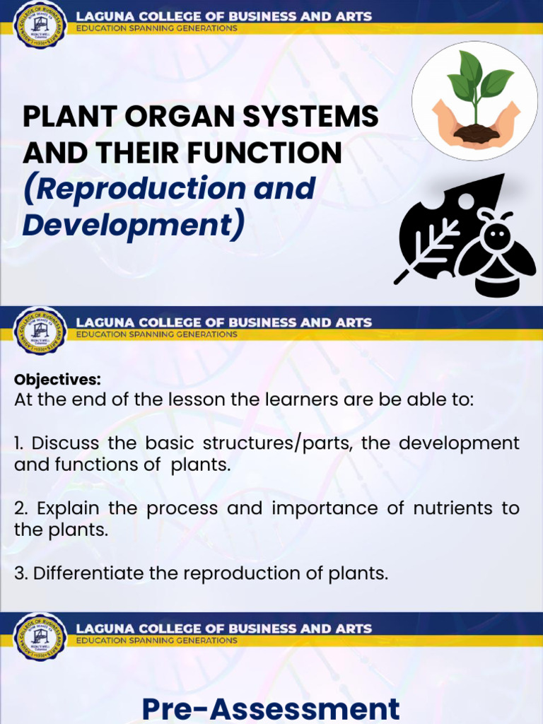 Plant Organ System and Their Functions (1) | PDF | Flowers | Grafting