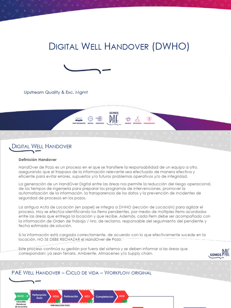 DWHO - Capacitacion GSJ | PDF