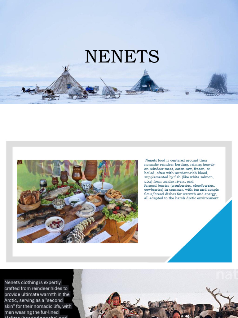 Presentation 1 (1) | PDF