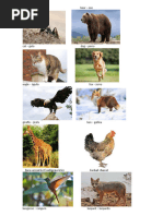 Comprehensive List of Land Animals | PDF | Zoology