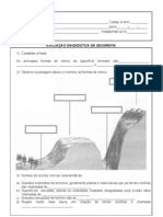 AVALIAÇÃO DIAGNÓSTICA DE GEOGRAFIA - 4ºB - 3º Bimestre