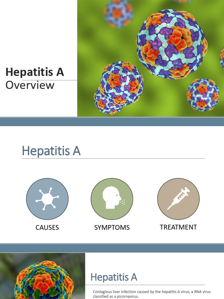 Hepatitis a Overview | PDF | Hepatitis | Viral Diseases
