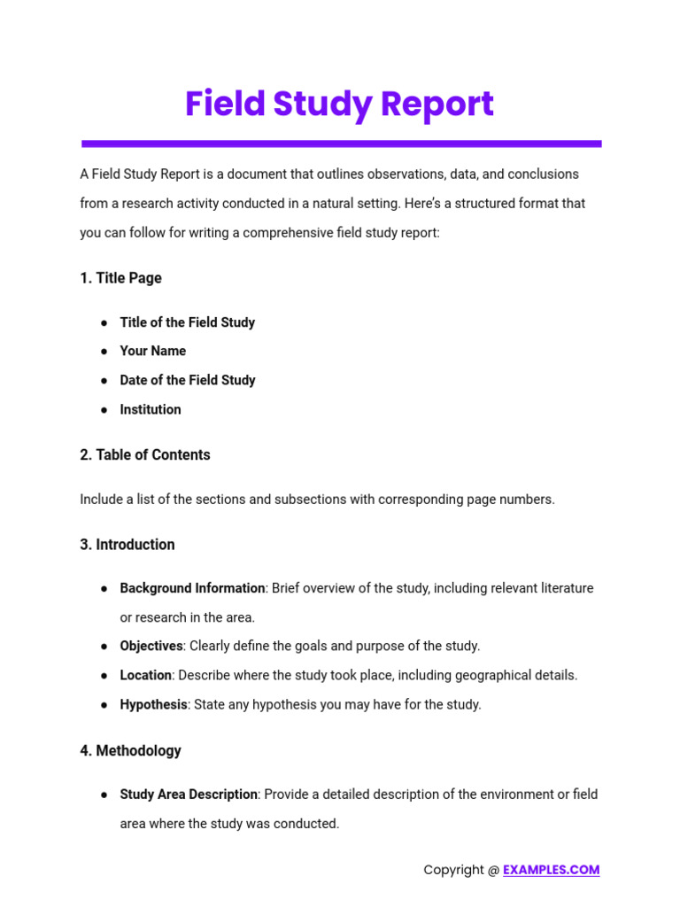 Field Study Report | PDF | Data | Observation