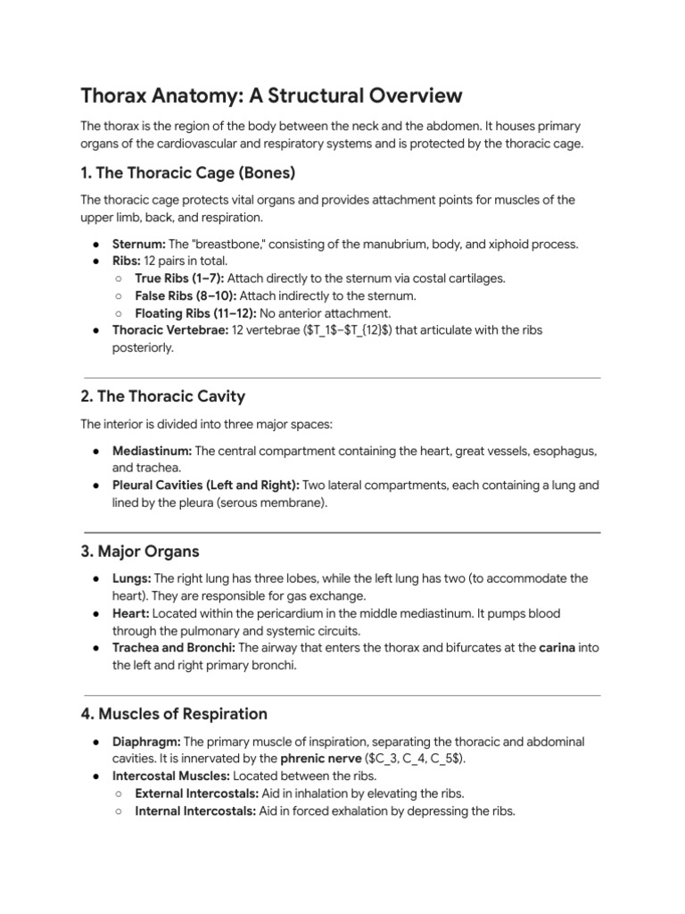 Thorax Anatomy- A Structural Overview | PDF
