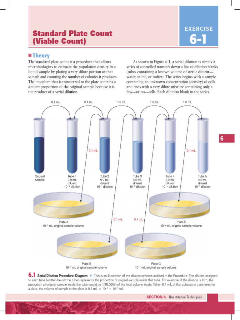 Section 6 Exercise 6-1 | PDF | Colony Forming Unit | Biology