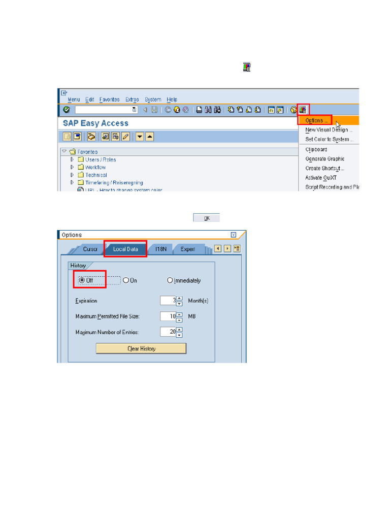 SAP General Information- Turn Off Autocmplete | PDF