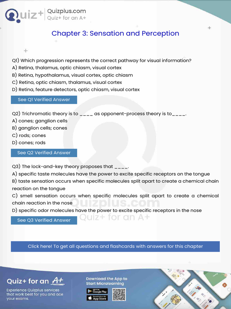 Which Progression Represents the Correct Pathway for Visual Information ...