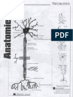 Neuronul,Sinapsa,Celulele Sangelui,Celula si tesuturile