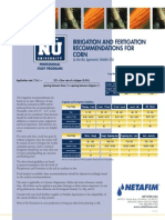 Irrigation and Fertigation Corn