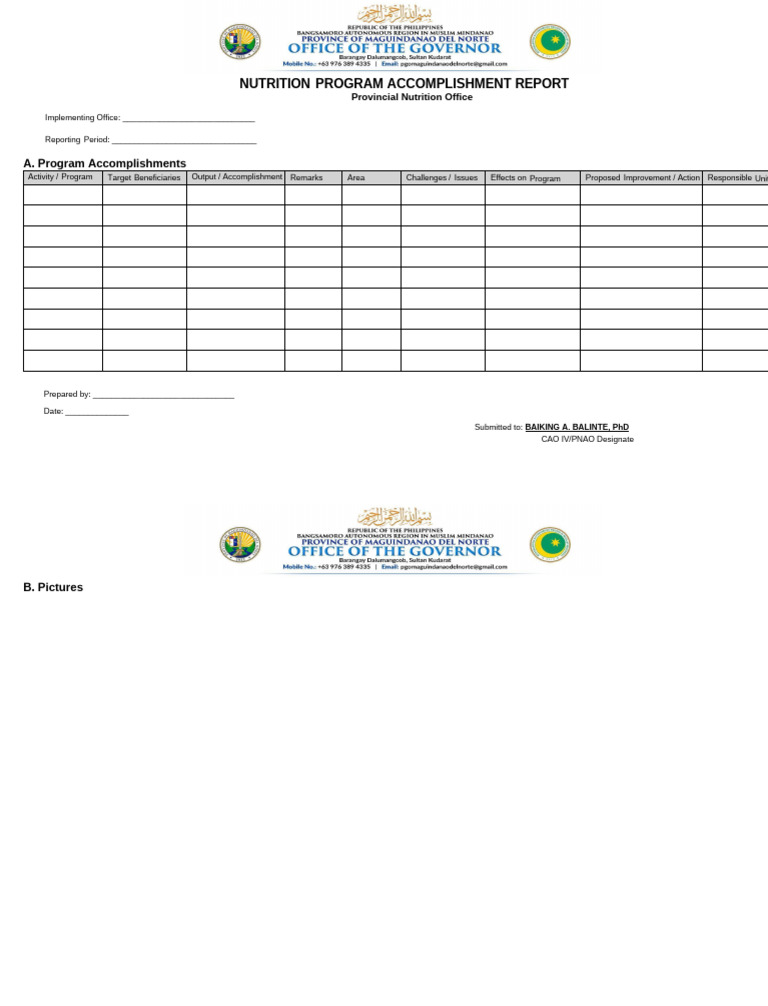 Nutrition Program Accomplishment Report Table | PDF