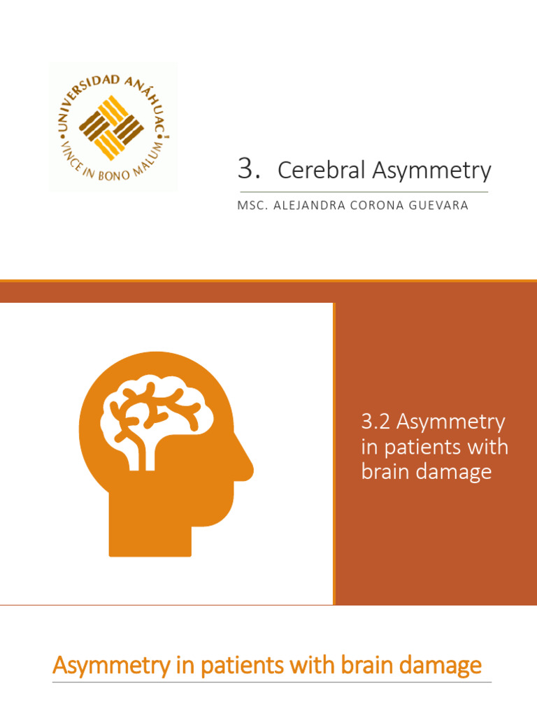 3.2 Asymmetry in Patients With Brain Damage - Copy | PDF ...