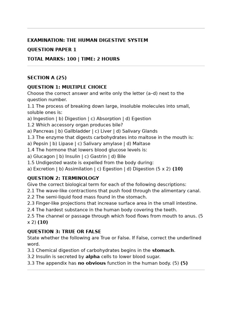 Digestive System QA | PDF | Digestion | Stomach