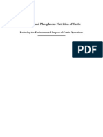 Nitrogen and Phosphorus Nutrition of Cattle