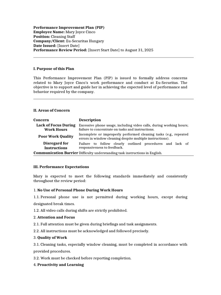 Performance Improvement Plan(DRAFT) | PDF